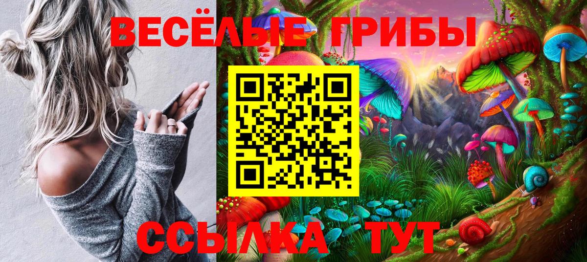 магазин продажи   Галлюциногенные грибы мухоморы  Вход с VPN  Истра  Псилоцибиновые грибы Cubensis 